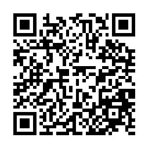 这个时候他站在他挖的那一片血红色的类似木板的东西之上二维码生成