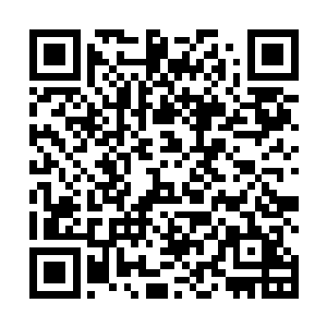 这个时候他还不知道白残谱地处境并不比他要好上多少二维码生成