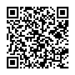 这个时候众人才开始再一次的审视起这个不起眼的人二维码生成