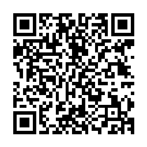 这个时候估计其他不在这个大陆的五位魔圣肯定也得到了消息二维码生成