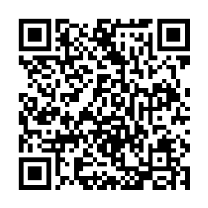 这个时候凌菲才发现自己手脚并用的攀在龙战的身上二维码生成