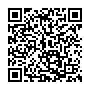 这个时候几个人这才注意到了杨戬身边的魔无极二维码生成