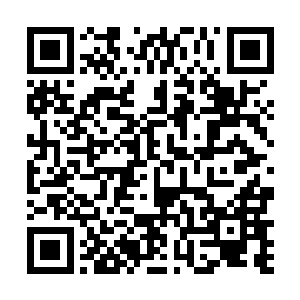 这个时候在看到陈易清那有些倔强的脸庞后怔了好一会二维码生成