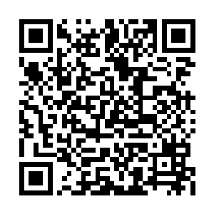 这个时候屋里有一半的人都不由自护的看向力莲二维码生成