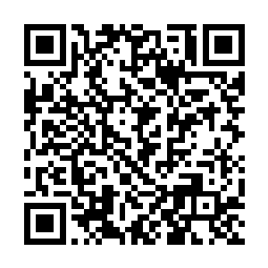 这个时候广播里再次传出gary和杰西卡被淘汰的消息二维码生成