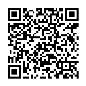 这个时候徐天雕才知道许紫烟竟然是金无敌的主人二维码生成