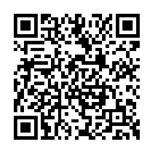 这个时候忙内吴夏荣举着自己的手弱弱的回应道二维码生成