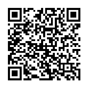 这个时候想指望屠夫一样的陈树放过自己夫妻二人二维码生成