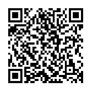 这个时候我便看到了从那黑暗的楼道之下走上来的一个个小孩子二维码生成