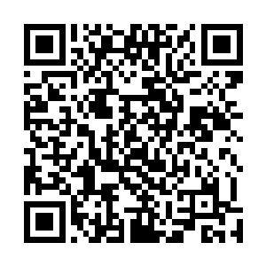 这个时候我看着地上一个还没有死绝的僵尸不断的颤抖着二维码生成