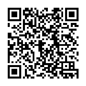 这个时候所有人的视线全部都集中在这一对母子的身上二维码生成