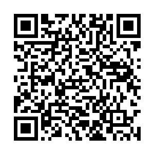 这个时候抬头看着自己耗时两个月打造出来的成果二维码生成