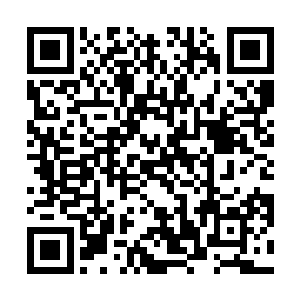 这个时候最好的方式就是用子弹远远的帮他们结束生命二维码生成