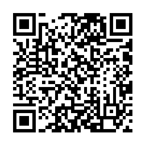 这个时候朱平安才看清楚高台上提学官赵文华赵大人二维码生成