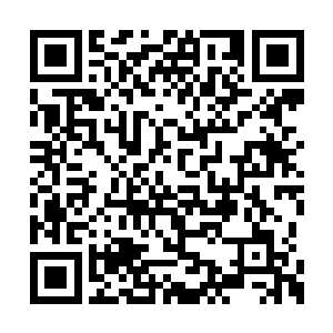 这个时候正是那只混沌兽长大着嘴巴停顿在那里二维码生成