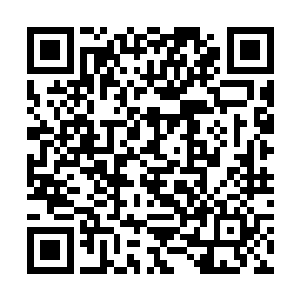 这个时候甄婕却误打误撞的撞到了日本企业智库里边二维码生成