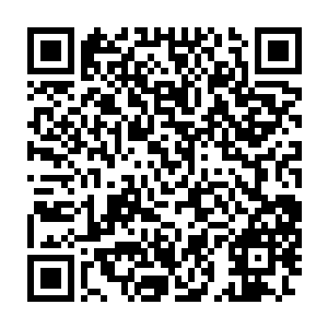 这个时候的夏擎雷爆发出来的力量可不仅仅只有通灵境巅峰的力量二维码生成