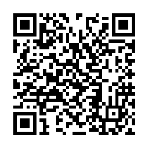 这个时候的朵朵正一口咬住了一个刚刚尸变的僵尸二维码生成