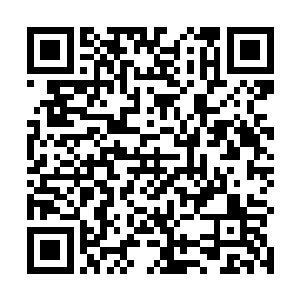 这个时候的胎儿比起分娩时已经长大了的婴儿要小得多二维码生成