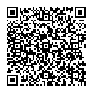 这个时候的那颗光辉之果内的精神力已经全部被张铁识海中的那个金黄色的精神力漩涡吸收了二维码生成
