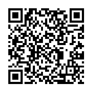 这个时候的铁血神拳在张铁手上所能爆发出来的威力二维码生成