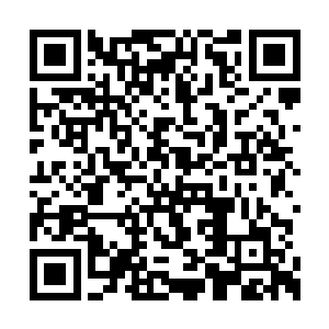 这个时候看见他这么生机勃勃地突然出现在眼前二维码生成