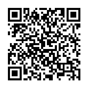 这个时候莱昂纳多才感觉到自己背后已经全都是汗水二维码生成