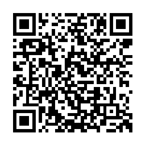 这个时候裁判已经给佐助和我爱罗讲解完了规则二维码生成