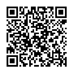 这个时候要是病了就连最简单的采集的活都做不了二维码生成