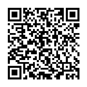 这个时候许紫烟的目光被一个芥子空间内的选手吸引二维码生成