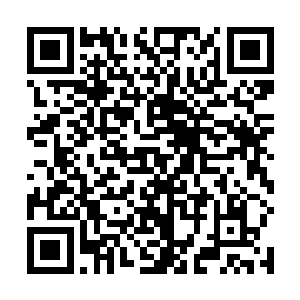 这个时候趴在墙壁上面的天虚渺也发生了进一步的变化二维码生成