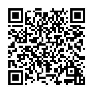 这个时候还有谁去关注什么草野富江和他的龙王兰二维码生成