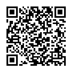 这个时候金继军却鬼使神差的没有按照计划被送过去二维码生成