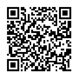 这个时候陌生复制人刚刚斩落的一剑也刚好落尽二维码生成