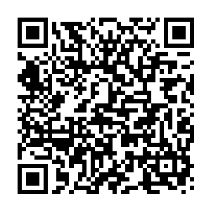 这个时节出行的话虽然天气比雪天的时候适宜那也意味着途中可能会遭遇到野兽二维码生成