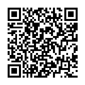 这个时间点上的小龙至少能为团队带来一千块以上的经济二维码生成