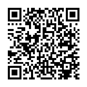 这个星期还剩下四天……也就是说从明天开始要连续四天三更二维码生成