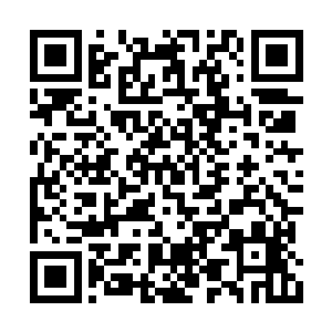 这个星球上另有一种生命体生存方式同你们相象二维码生成