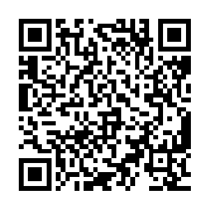 这个星球绝对会成为未来二十年甚至五十年最热门的移民星球二维码生成