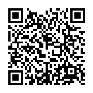 这个春节成了陆为民和华民集团高管们沟通最多的一次二维码生成