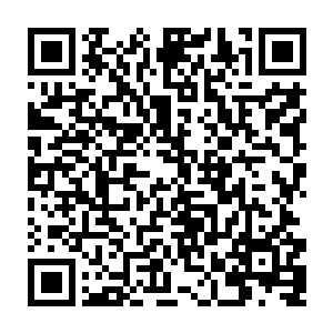 这个昨天晚上还在内堡的高塔下给自己喜欢的女生送去黑桑子的痴情少年二维码生成