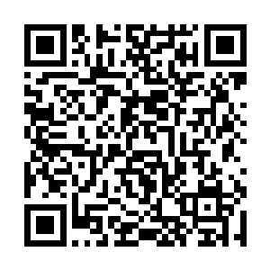 这个有着褐色短发的女孩有着一种独特的坚毅的气质二维码生成