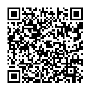这个本来就老态龙钟的老头子就在快速的苍老了……从看起来六十岁到七十岁二维码生成