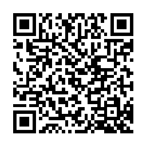 这个杀手17本来是皮野绫从外面拉进俱乐部来打adc的二维码生成