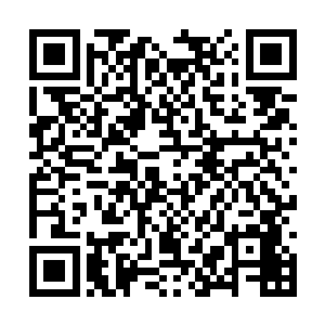 这个李明睾从十年异能革命前的一个普通武打巨星二维码生成