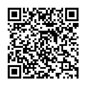 这个村子可能都是他们的先辈来到这里后发展起来的二维码生成