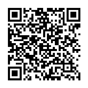 这个松岛菜菜子居然是山本次郎的私生女……山本次郎是谁二维码生成