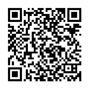 这个构想还是在看到了麓山集团的快速发展历程他心里才萌生的二维码生成