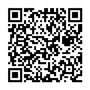 这个林师弟对火系法则的理解力比路小鸢命陨时不知差了多少倍二维码生成