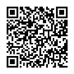 这个柯震自然很轻易地就获得了灭叶组织大笔的资金投入二维码生成